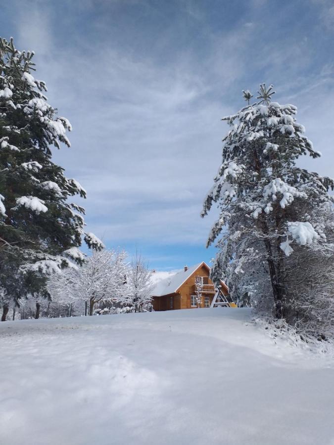 Holiday Homes Vita Natura Rakovica Exterior photo