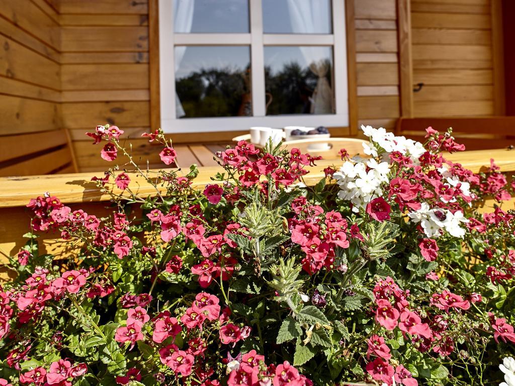 Holiday Homes Vita Natura Rakovica Exterior photo
