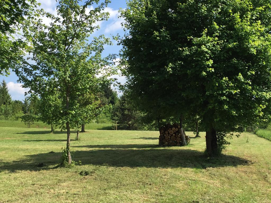 Holiday Homes Vita Natura Rakovica Exterior photo